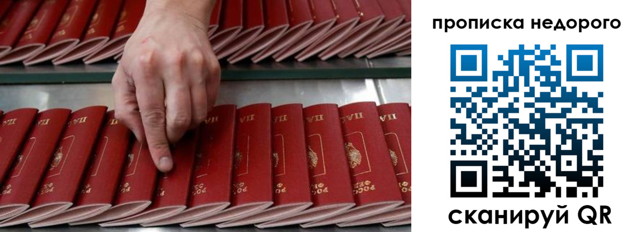 прописка регистрация в Эртили